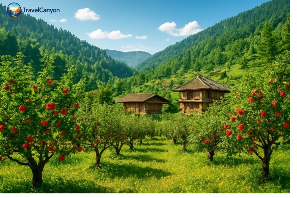 Uncover Hidden Gems in Himachal Pradesh: Must-Visit Offbeat Hill Stations